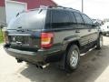 2004 Brillant Black Crystal Pearl Jeep Grand Cherokee Limited 4x4  photo #5