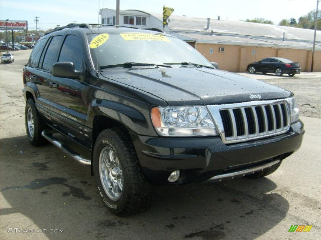 2004 Grand Cherokee Limited 4x4 - Brillant Black Crystal Pearl / Taupe photo #6