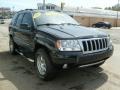 2004 Brillant Black Crystal Pearl Jeep Grand Cherokee Limited 4x4  photo #6