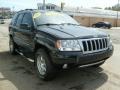 Brillant Black Crystal Pearl - Grand Cherokee Limited 4x4 Photo No. 6