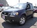 Black - Escape XLT V6 Photo No. 1