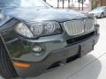 2007 Highland Green Metallic BMW X3 3.0si  photo #9