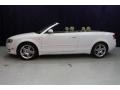 2007 Ibis White Audi A4 2.0T Cabriolet  photo #21