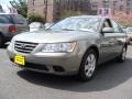 Natural Khaki - Sonata GLS Photo No. 1