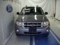 2008 Tungsten Grey Metallic Ford Escape Hybrid 4WD  photo #2