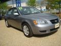 Steel Gray - Sonata GLS Photo No. 8