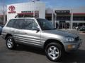Quicksilver - RAV4 4WD Photo No. 1