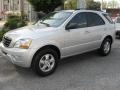 Bright Silver - Sorento LX 4x4 Photo No. 2