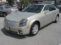 Gold Mist - CTS Sedan Photo No. 2