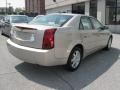 Gold Mist - CTS Sedan Photo No. 7