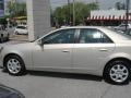 Gold Mist - CTS Sedan Photo No. 10