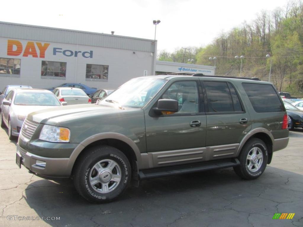2003 Expedition Eddie Bauer 4x4 - Estate Green Metallic / Medium Parchment photo #1