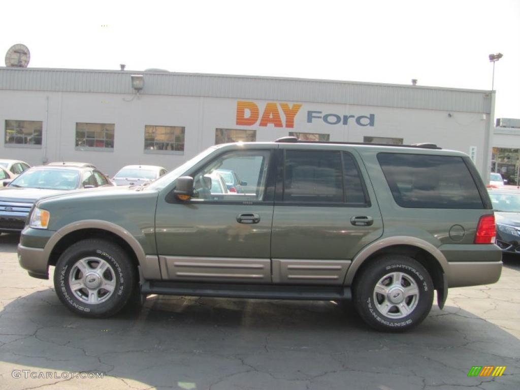 2003 Expedition Eddie Bauer 4x4 - Estate Green Metallic / Medium Parchment photo #2