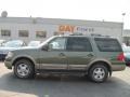 2003 Estate Green Metallic Ford Expedition Eddie Bauer 4x4  photo #2