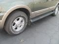 2003 Estate Green Metallic Ford Expedition Eddie Bauer 4x4  photo #3