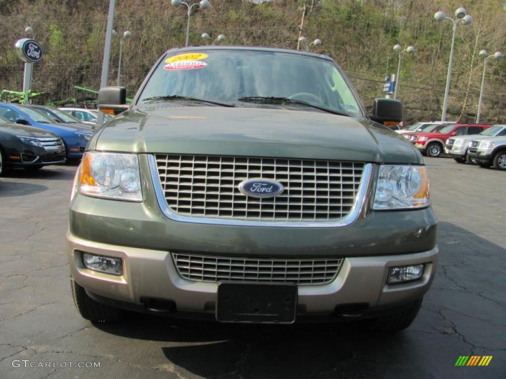 2003 Expedition Eddie Bauer 4x4 - Estate Green Metallic / Medium Parchment photo #4