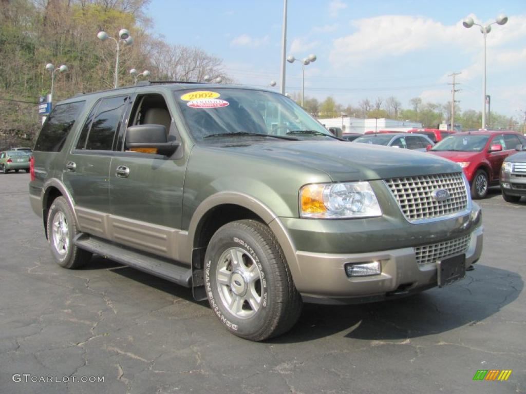 2003 Expedition Eddie Bauer 4x4 - Estate Green Metallic / Medium Parchment photo #5