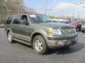 2003 Estate Green Metallic Ford Expedition Eddie Bauer 4x4  photo #5