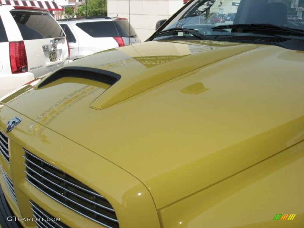 2005 Ram 1500 SLT Rumble Bee Regular Cab - Solar Yellow / Dark Slate Gray photo #43