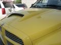 2005 Solar Yellow Dodge Ram 1500 SLT Rumble Bee Regular Cab  photo #43