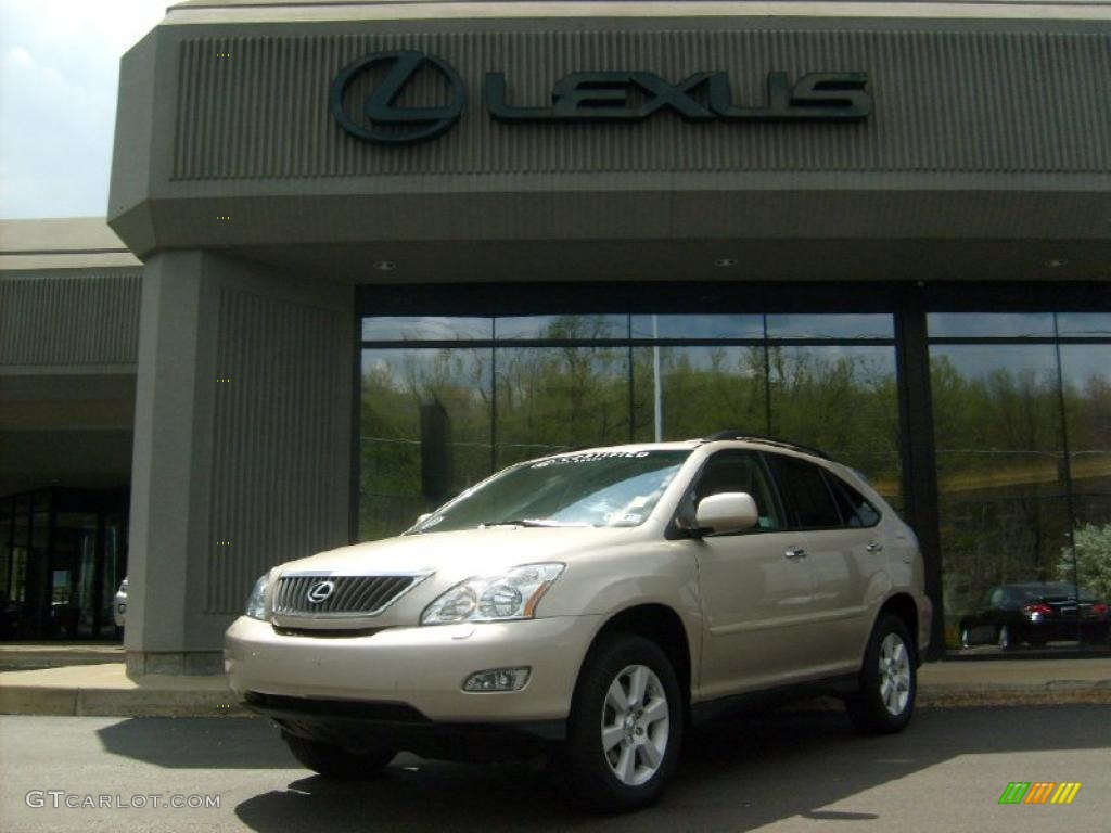 Savannah Metallic Lexus RX