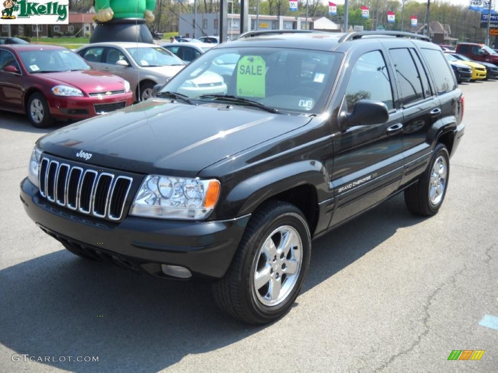 2003 Grand Cherokee Limited 4x4 - Brilliant Black / Dark Slate Gray photo #14