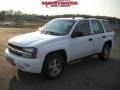 Summit White - TrailBlazer LS 4x4 Photo No. 20