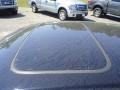 Nighthawk Black Pearl - TSX Sedan Photo No. 10