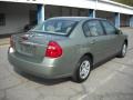 2006 Silver Green Metallic Chevrolet Malibu LS Sedan  photo #2