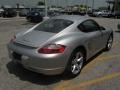 Arctic Silver Metallic - Cayman  Photo No. 5