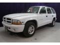 2000 Bright White Dodge Durango SLT  photo #10