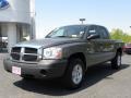 2007 Mineral Gray Metallic Dodge Dakota ST Quad Cab  photo #5