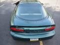 Polo Green Metallic - Camaro Coupe Photo No. 17