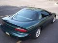 Polo Green Metallic - Camaro Coupe Photo No. 18