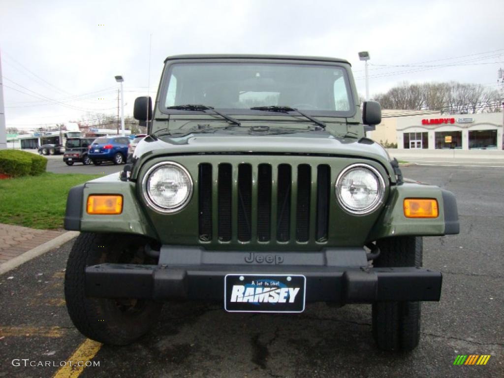 2006 Wrangler X 4x4 - Jeep Green Metallic / Dark Slate Gray photo #2