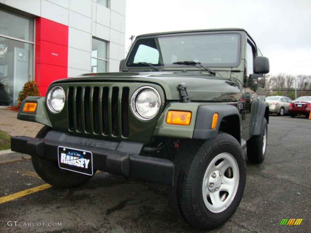 2006 Wrangler X 4x4 - Jeep Green Metallic / Dark Slate Gray photo #3