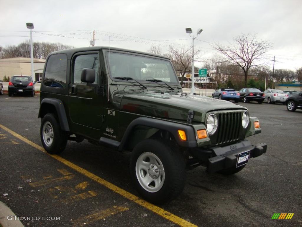 2006 Wrangler X 4x4 - Jeep Green Metallic / Dark Slate Gray photo #14