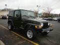 2006 Jeep Green Metallic Jeep Wrangler X 4x4  photo #14