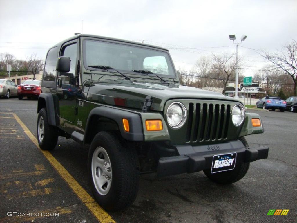 2006 Wrangler X 4x4 - Jeep Green Metallic / Dark Slate Gray photo #15