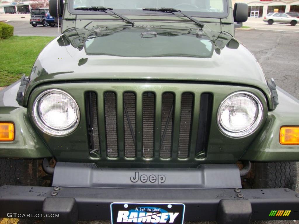 2006 Wrangler X 4x4 - Jeep Green Metallic / Dark Slate Gray photo #16