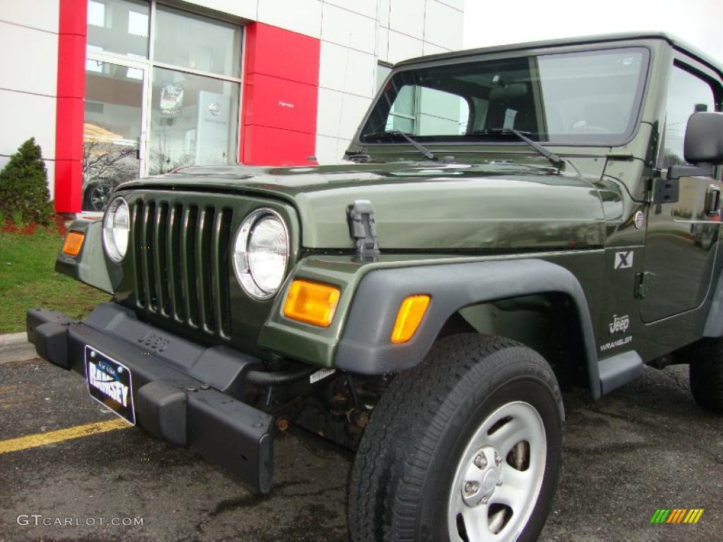 2006 Wrangler X 4x4 - Jeep Green Metallic / Dark Slate Gray photo #17