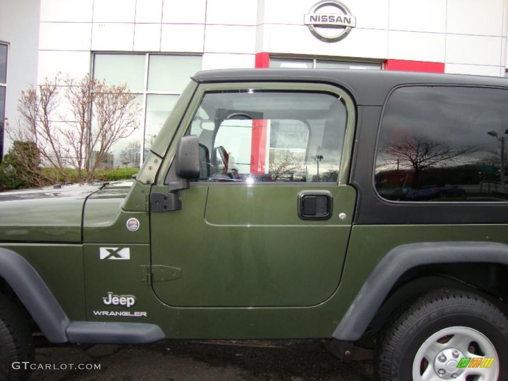 2006 Wrangler X 4x4 - Jeep Green Metallic / Dark Slate Gray photo #18