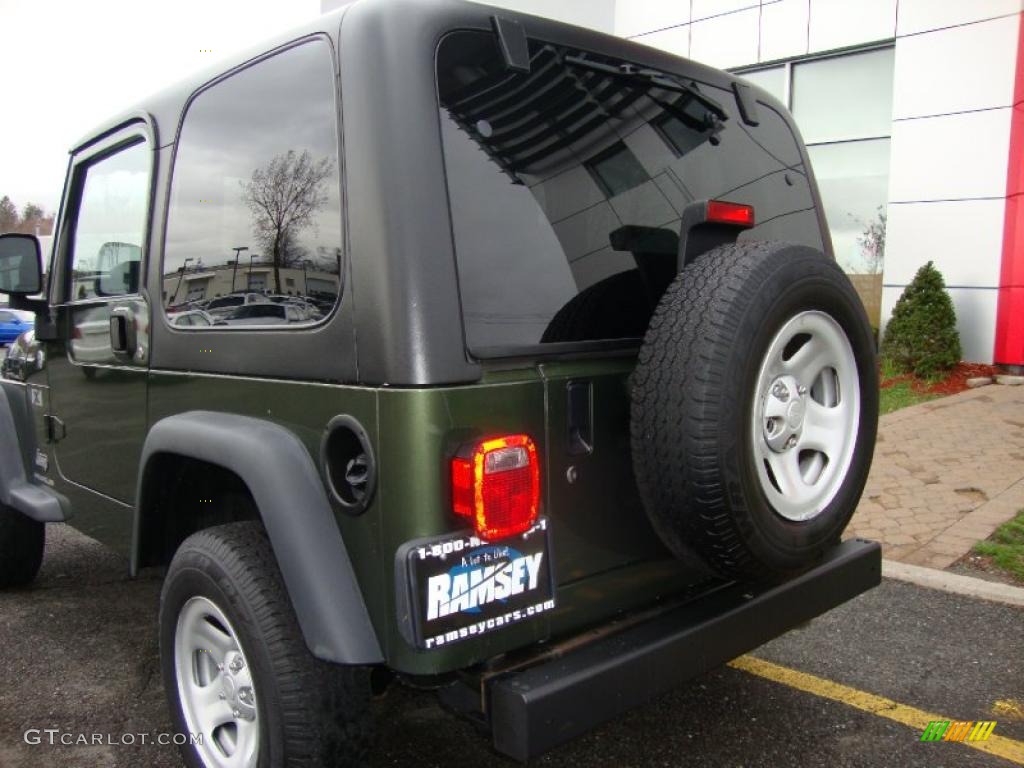 2006 Wrangler X 4x4 - Jeep Green Metallic / Dark Slate Gray photo #19