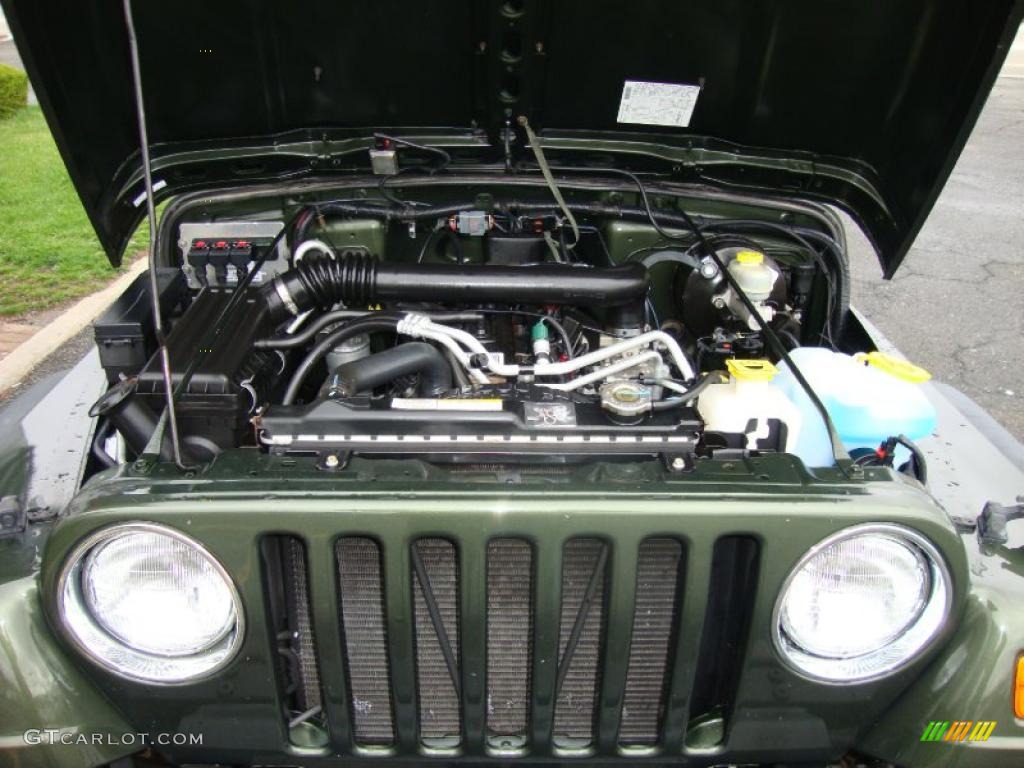 2006 Wrangler X 4x4 - Jeep Green Metallic / Dark Slate Gray photo #28