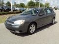 Medium Gray Metallic 2004 Chevrolet Malibu Maxx LT Wagon