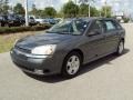 2004 Medium Gray Metallic Chevrolet Malibu Maxx LT Wagon  photo #1