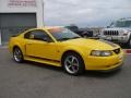 Screaming Yellow - Mustang Mach 1 Coupe Photo No. 3