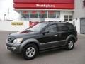 Ebony Black - Sorento EX 4WD Photo No. 1