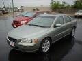 Willow Green Metallic 2006 Volvo S60 2.5T