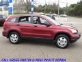 2008 Tango Red Pearl Honda CR-V LX  photo #6